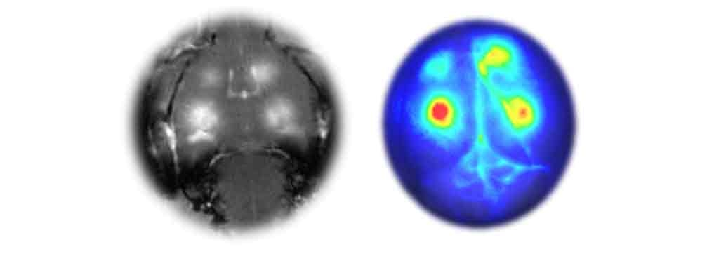 demcon-curix-brain-snipstad